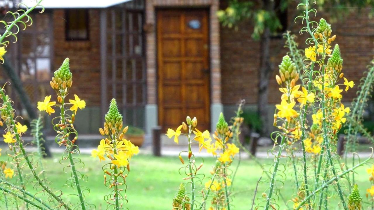 Cabanas Agua Que Brilla Mina Clavero Eksteriør bilde